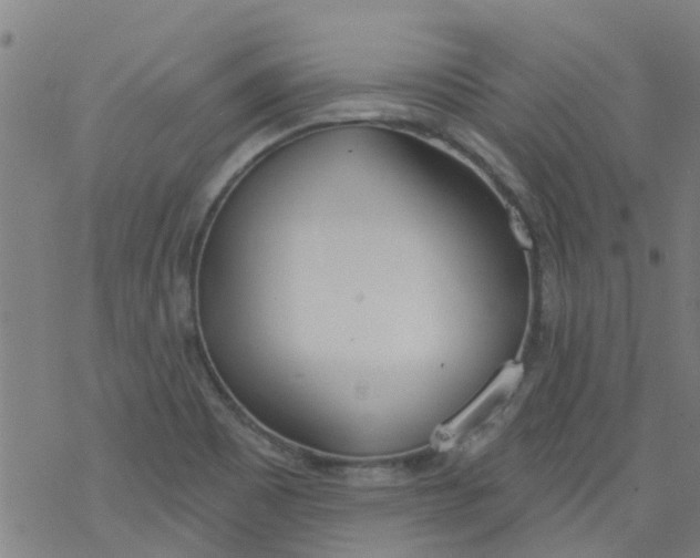 X0000077401465200611101808