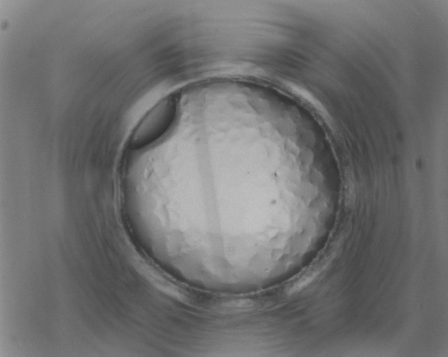 X0000077401467200611101808