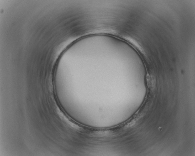 X0000077401468200611101808