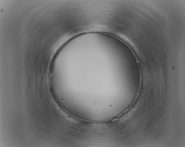 X0000077401469200611101808