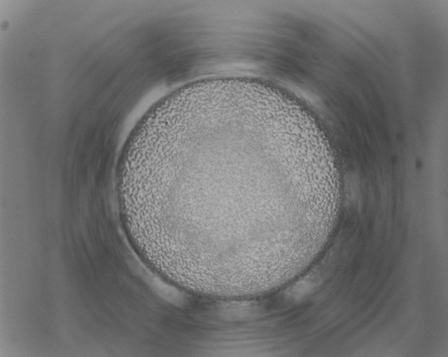 X0000077401470200611101808