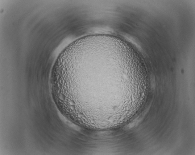 X0000077401471200611101808