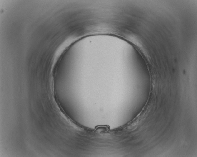 X0000077401472200611101808