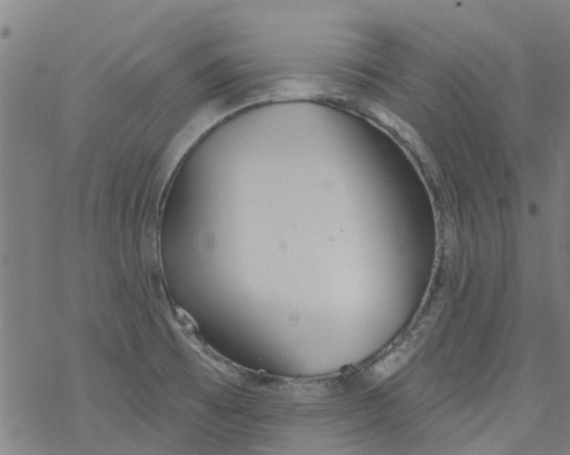 X0000077401473200611101808