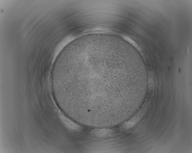 X0000077401474200611101808