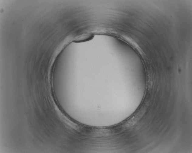 X0000077401475200611101808