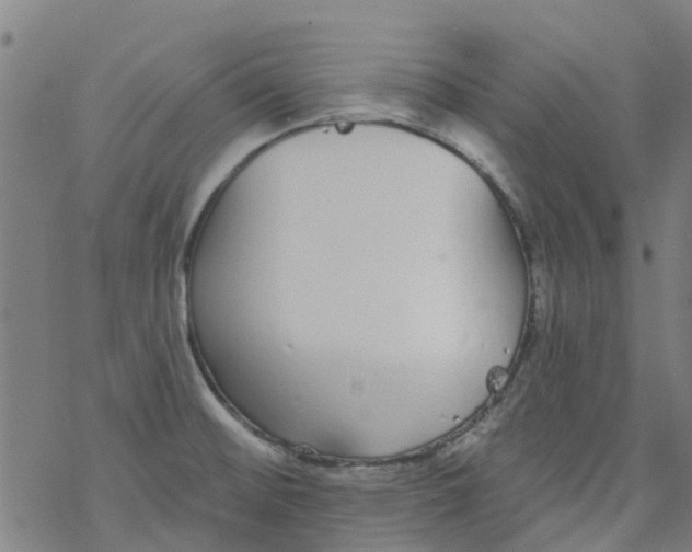 X0000077401476200611101807