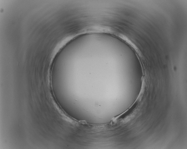 X0000077401477200611101807