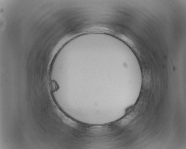 X0000077401478200611101807