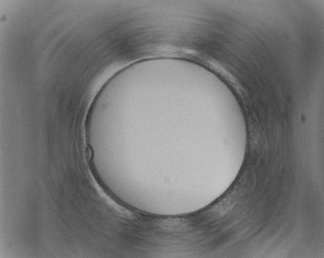 X0000077401479200611101807