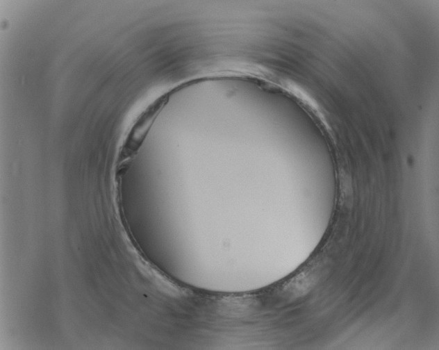 X0000077401480200611101807