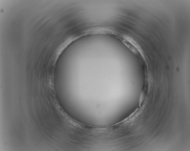 X0000077401481200611101807