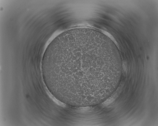 X0000077401482200611101807