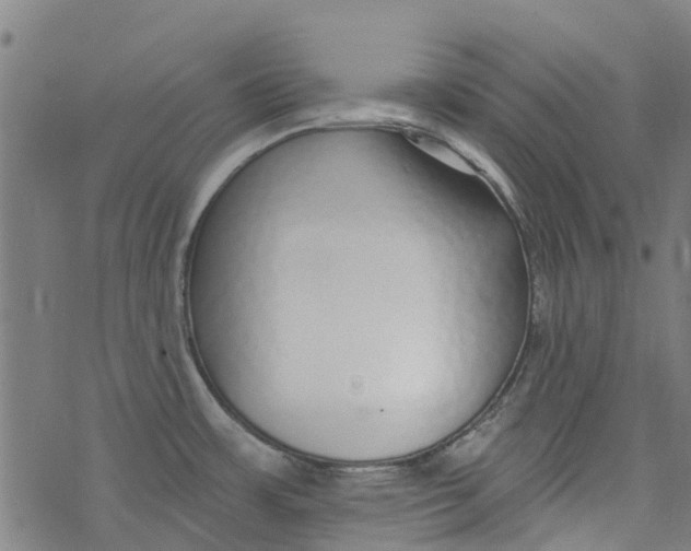 X0000077401483200611101807