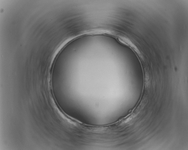 X0000077401484200611101807