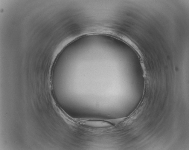 X0000077401485200611101807