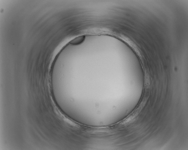 X0000077401486200611101807