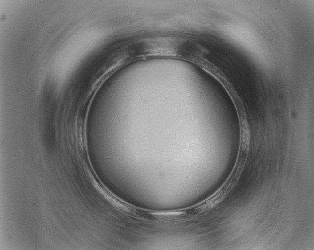 X0000077401487200611101807