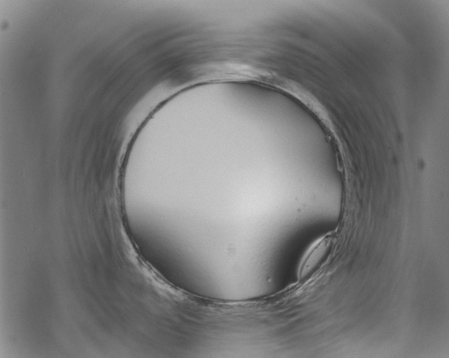 X0000077401488200611101807