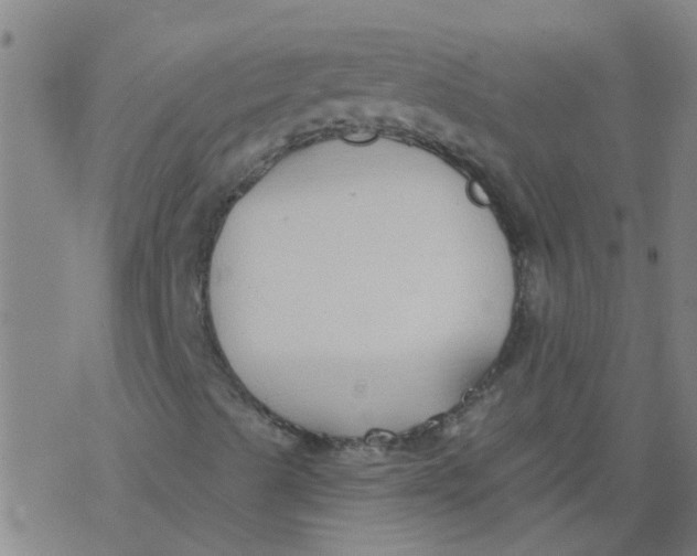 X0000077401489200611101807