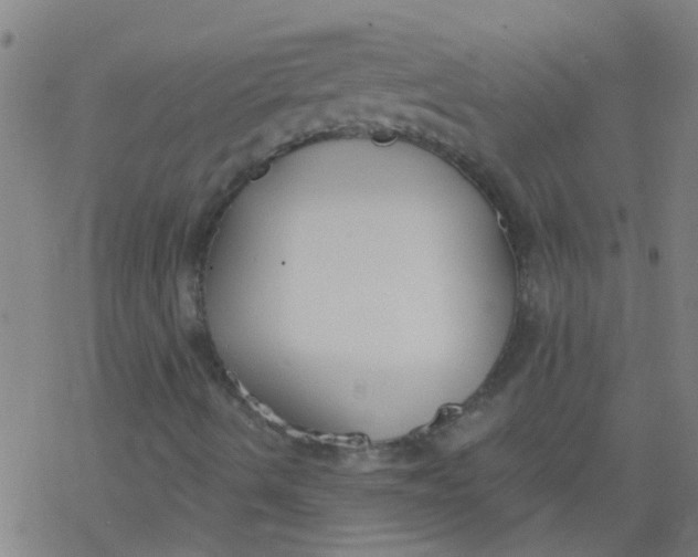 X0000077401490200611101807