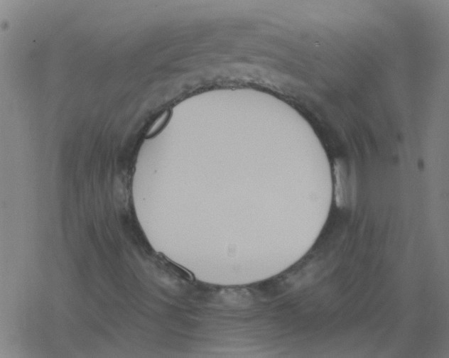 X0000077401491200611101807