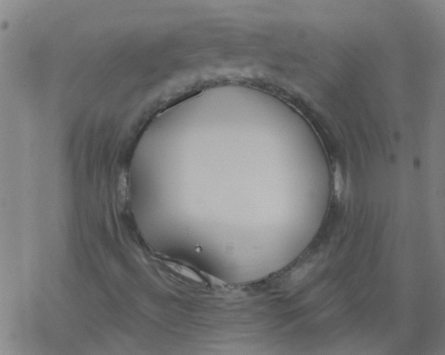 X0000077401492200611101807