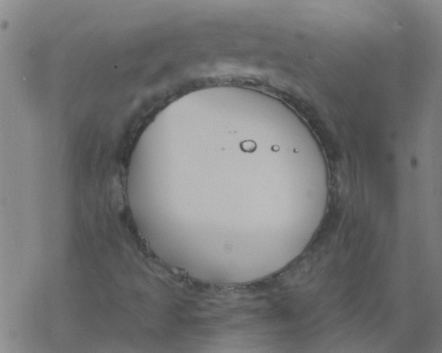 X0000077401493200611101807