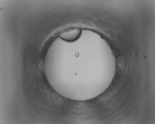 X0000077401495200611101807