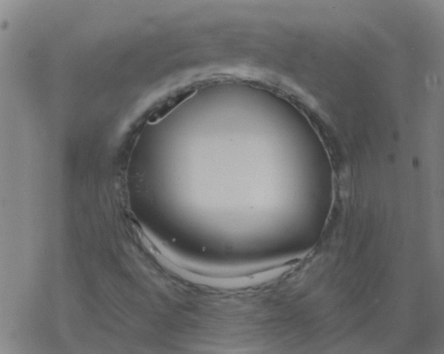 X0000077401496200611101807