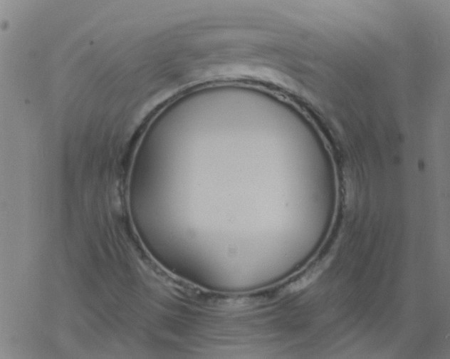 X0000077401497200611101807