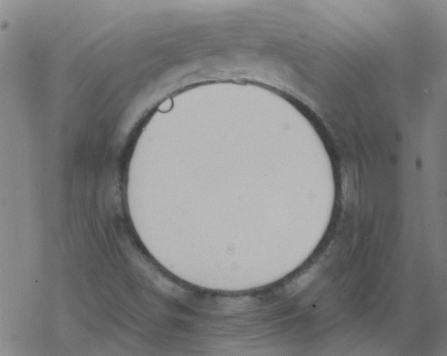 X0000077401498200611101807