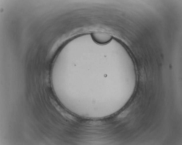 X0000077401499200611101807