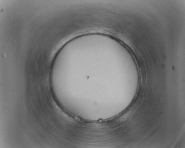 X0000077401500200611101807