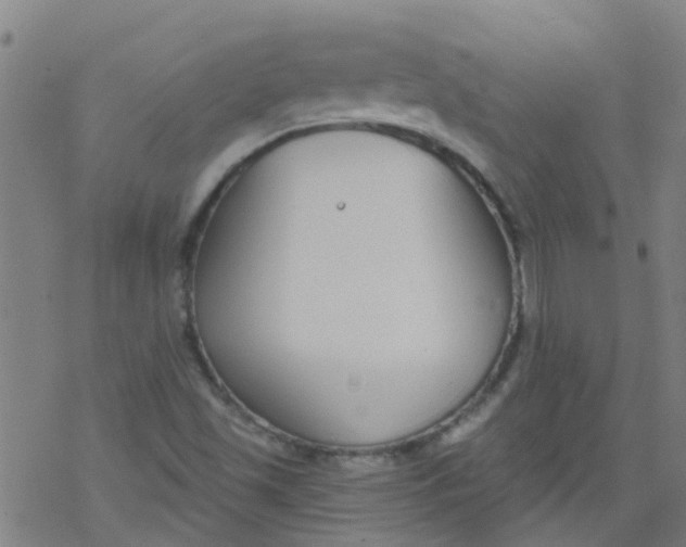 X0000077401501200611101807