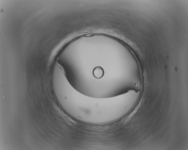 X0000077401502200611101807