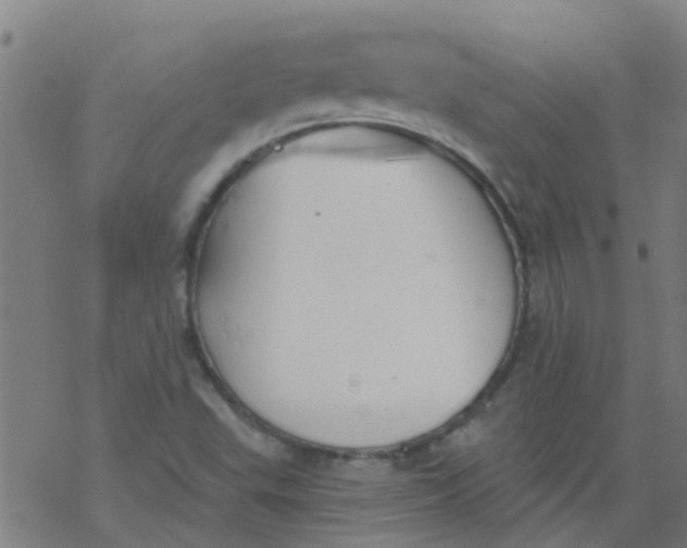 X0000077401503200611101807