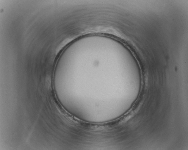 X0000077401505200611101807