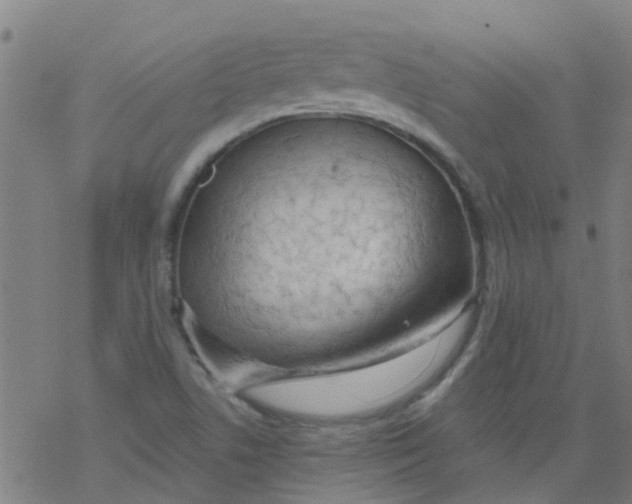 X0000077401506200611101807