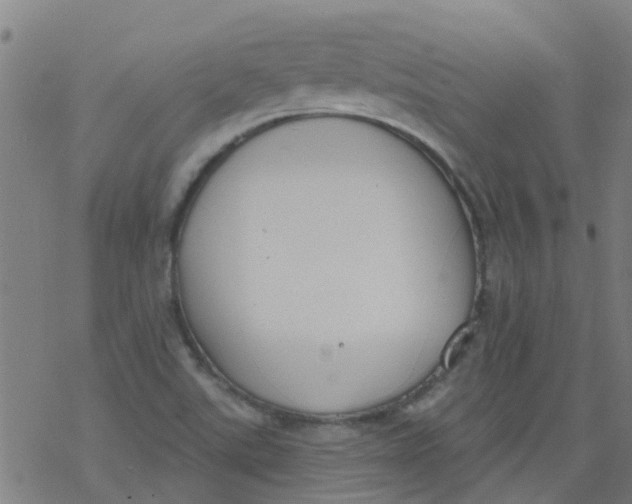 X0000077401507200611101807