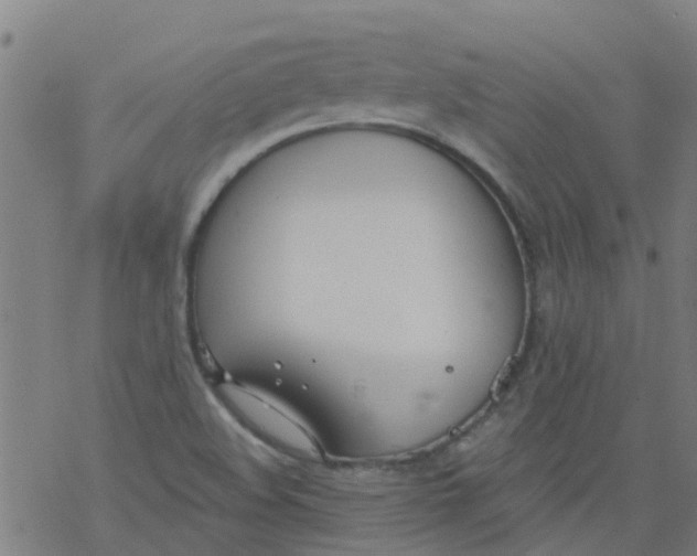 X0000077401508200611101807