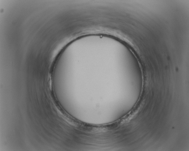 X0000077401509200611101807