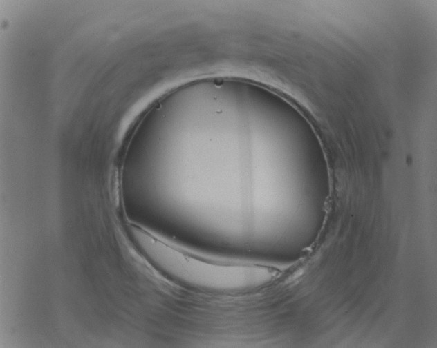 X0000077401510200611101807