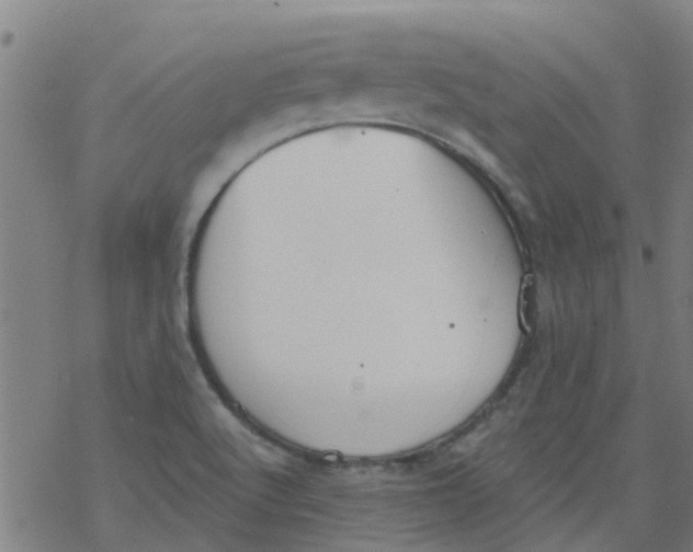 X0000077401512200611101807