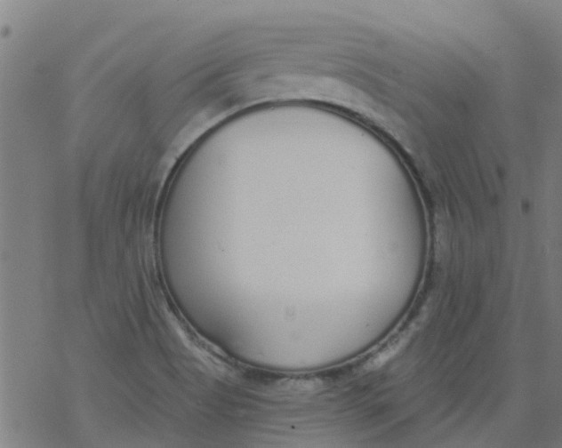 X0000077401513200611101807