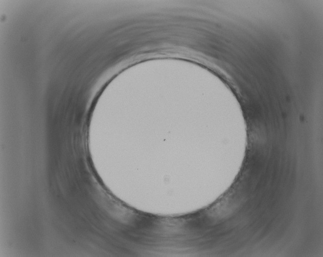 X0000077401514200611101807