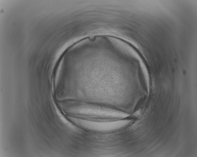 X0000077401515200611101807