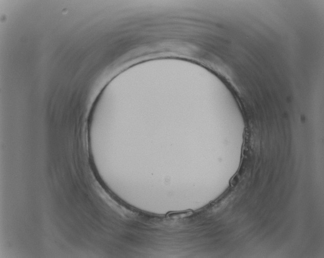 X0000077401516200611101807