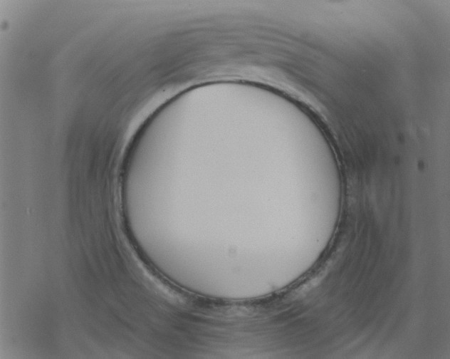 X0000077401517200611101807