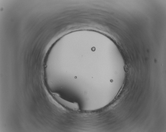 X0000077401518200611101807